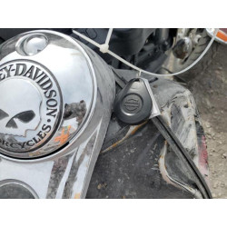 2020 HARLEY-DAVIDSON FL 1HD1FVC10LB655934 50255695