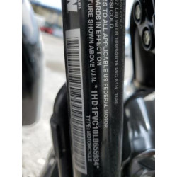2020 HARLEY-DAVIDSON FL 1HD1FVC10LB655934 50255695
