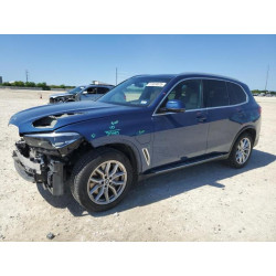 2021 BMW X5 5UXTA6C02M9F28733 51924975