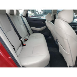 2023 HONDA ACCORD 1HGCY2F62PA052510 53466345