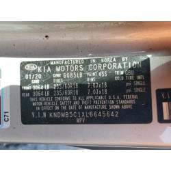 2020 KIA All Models KNDMB5C1XL6645642 56348565