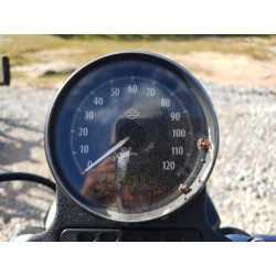 2022 HARLEY-DAVIDSON XL883 N 1HD4LE214NB417045 77139234
