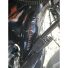 2024 HARLEY-DAVIDSON FL 1HD1KEF10RB663063 55466865