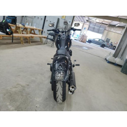 2021 HARLEY-DAVIDSON FXLRS 1HD1YWK15MB029220 56221305