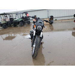 2024 HARLEY-DAVIDSON RH975 S 1HD1ZF118RB307971 54440705