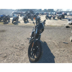 2020 HARLEY-DAVIDSON XL1200 NS 1HD1LP315LB430235 48899465