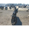 2020 HARLEY-DAVIDSON XL1200 NS 1HD1LP315LB430235 48899465