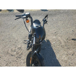 2020 HARLEY-DAVIDSON XL1200 NS 1HD1LP315LB430235 48899465