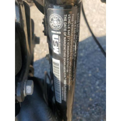 2020 HARLEY-DAVIDSON XL1200 NS 1HD1LP315LB430235 48899465