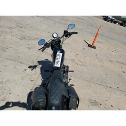 2020 HARLEY-DAVIDSON XL1200 NS 1HD1LP311LB439269 54675735