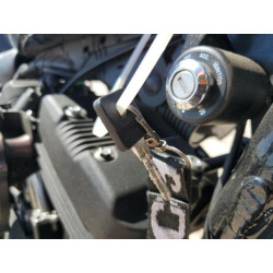 2020 HARLEY-DAVIDSON XL1200 NS 1HD1LP311LB439269 54675735