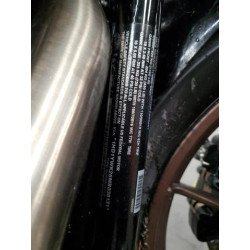 2021 HARLEY-DAVIDSON FXLRS 1HD1YWK26MB038131 53359635