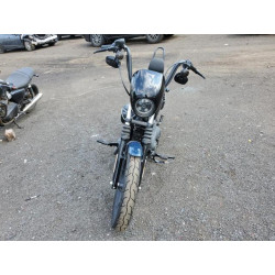 2020 HARLEY-DAVIDSON XL1200 NS 1HD1LP316LB420586 55557755
