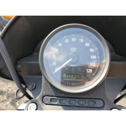 2020 HARLEY-DAVIDSON XL1200 NS 1HD1LP316LB420586 55557755