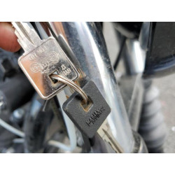 2020 HARLEY-DAVIDSON XL1200 NS 1HD1LP316LB420586 55557755