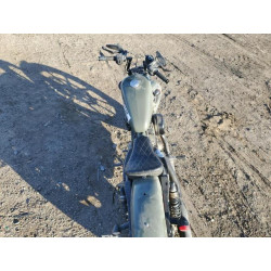 2021 HARLEY-DAVIDSON XL883 N 1HD4LE223MB409641 43342445