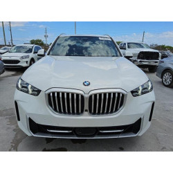 2024 BMW X5 5UX23EU09R9U66251 56056055