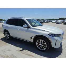 2025 BMW X5 5UX43EU0XS9X00914 56058745