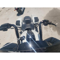 2020 HARLEY-DAVIDSON FLSE 1HD1TCL19LB956313 55027065