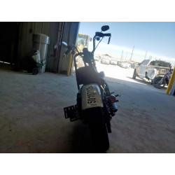 2021 HARLEY-DAVIDSON XL1200 NS 1HD1LP310MB401713 50107175