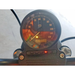 2021 HARLEY-DAVIDSON XL1200 NS 1HD1LP310MB401713 50107175
