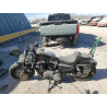 2020 HARLEY-DAVIDSON SPRTSTR120 1HD1LC317LB401778 50608005