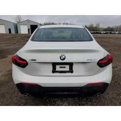 2024 BMW 2 SERIES 3MW33CM02R8E73902 55800635