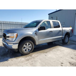 2021 FORD F-150 1FTFW1E52MKE50049 57203005