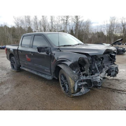 2024 FORD F150 LARIA 1FTFW5LDXRFB27529 85027614