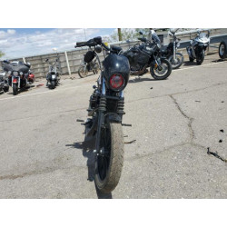 2020 HARLEY-DAVIDSON XL1200 NS 1HD1LP324LB411541 55950695