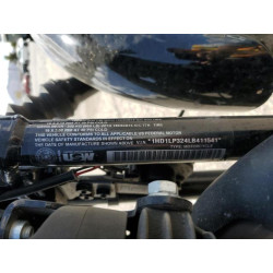 2020 HARLEY-DAVIDSON XL1200 NS 1HD1LP324LB411541 55950695
