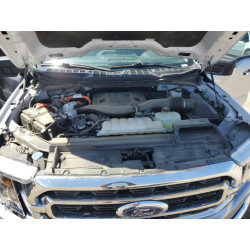 2023 FORD F-150 1FTFW1ED9PFC99375 55972585
