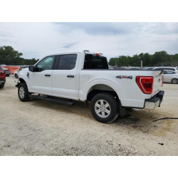 2021 FORD F-150 1FTFW1E53MFB17934 56710605