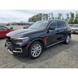 2023 BMW X5 5UXCR6C05P9R57844 54906045
