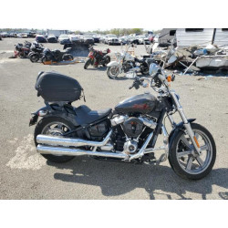 2023 HARLEY-DAVIDSON FX 1HD1BVJ14PB036953 53377375
