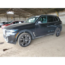 2025 BMW X5 5UX13EU05S9W65198 48498235