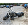 2020 HARLEY-DAVIDSON FLSL 1HD1YDJ17LB075975 53947115
