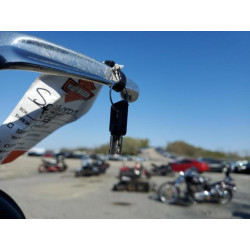 2020 HARLEY-DAVIDSON FL 1HD1KBC11LB663020 52500715