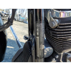 2020 HARLEY-DAVIDSON FL 1HD1KBC11LB663020 52500715