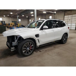 2023 BMW X5 5UXTA6C07P9N71269 55241825
