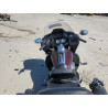 2021 HARLEY-DAVIDSON FLTRK 1HD1KZF12MB674324 55099795