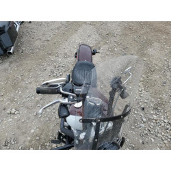 2021 HARLEY-DAVIDSON FLSL 1HD1YDJ15MB032463 54579205