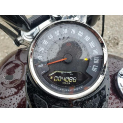 2021 HARLEY-DAVIDSON FLSL 1HD1YDJ15MB032463 54579205