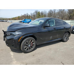 2025 BMW X6 5UX33EX05S9Z28763 54533525
