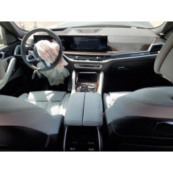 2025 BMW X6 5UX33EX05S9Z28763 54533525