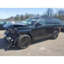 2025 HYUNDAI SANTA FE 5NMP5DGL9SH113049 54540095