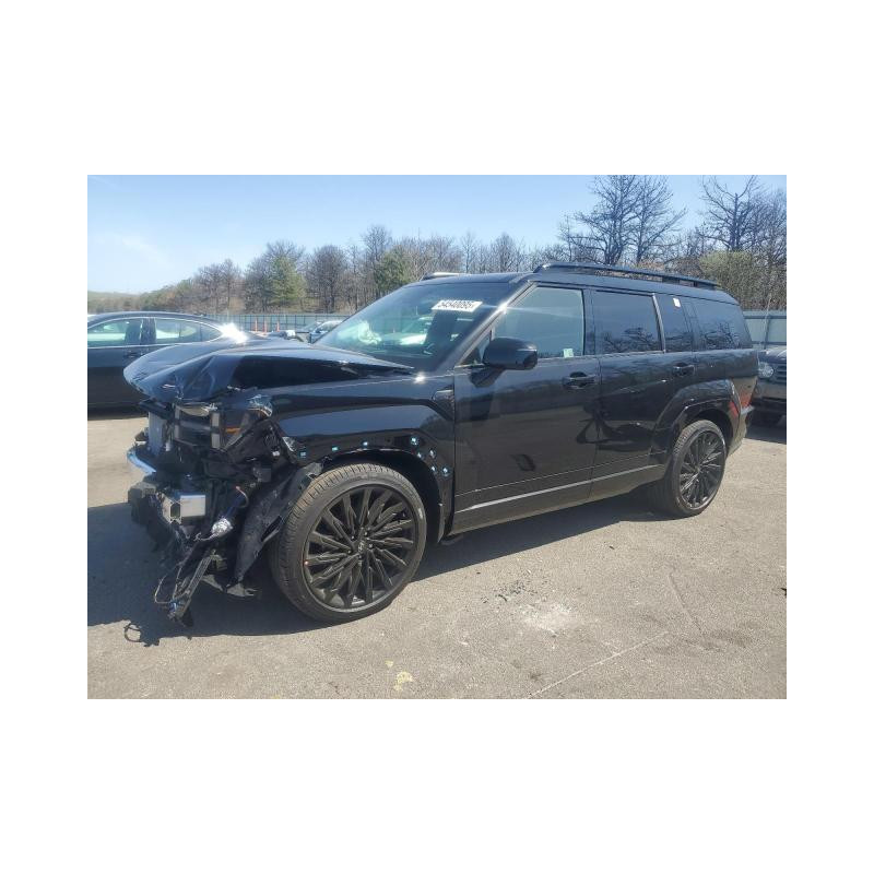2025 HYUNDAI SANTA FE 5NMP5DGL9SH113049 54540095 2025 HYUNDAI SANTA FE 5NMP5DGL9SH113049 54540095