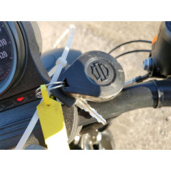 2022 HARLEY-DAVIDSON XL883 N 1HD4LE210NB414465 53294515