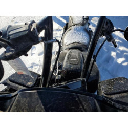 2022 HARLEY-DAVIDSON FL 1HD1KTP10NB630156 49474455