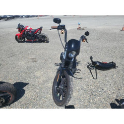 2020 HARLEY-DAVIDSON XL1200 NS 1HD1LP323LB418836 55589745